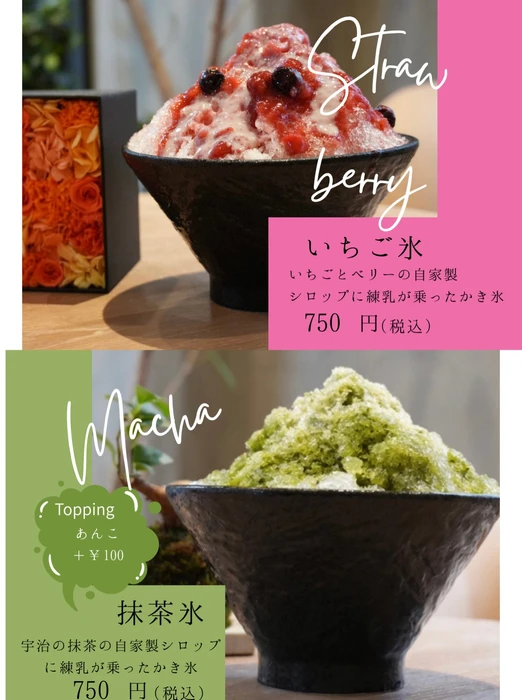 画像731